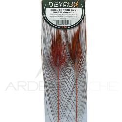 Quill de paon &eacute;barb&eacute;s DEVAUX Orange