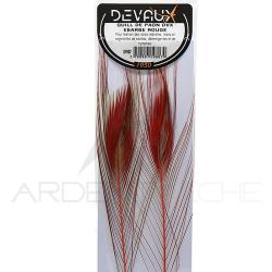 Quill de paon &eacute;barb&eacute;s DEVAUX rouge