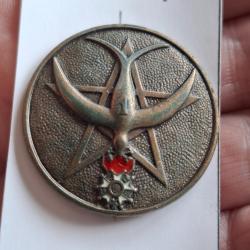 INSIGNE 1 REGIMENT DE TIRAILLEURS MAROCAINS ( MODELE 3 - DRAGO DOS ESTAMPE ) 1 RTM