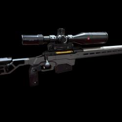 Carabine Savage 110 338 Lapua Mag Leica PRS 5-30x56 montage ERA TAC bipied Accu Tac