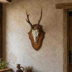 Ecusson chasse troph&eacute;e chevreuil ch&ecirc;ne fonc&eacute; cir&eacute; 32x21cm