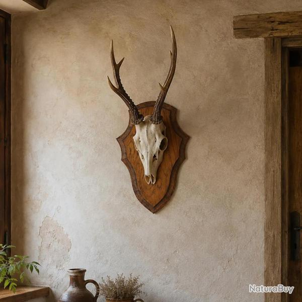 Ecusson chasse troph�e chevreuil ch�ne fonc� cir� 32x21cm