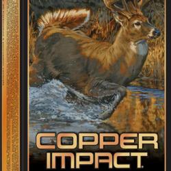 Cartouches WINCHESTER cal.270wsm extr&ecirc;me copper impact 130gr par 20