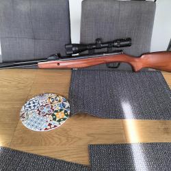 Carabine &agrave; plomb stoeger avec lunette de pr&eacute;cision stoeger, 19,9 joules