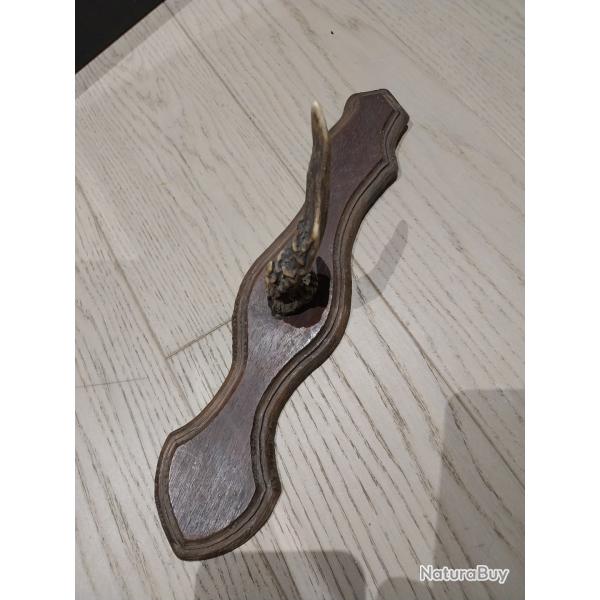 Support mural unique