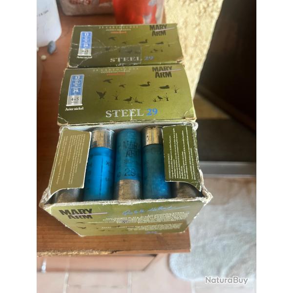 Cartouches Mary arm steel