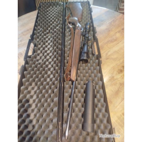 Carabine Cari Gustaf 243 winchester