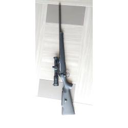 Sauer 100 wild boar &eacute;dition 30-06