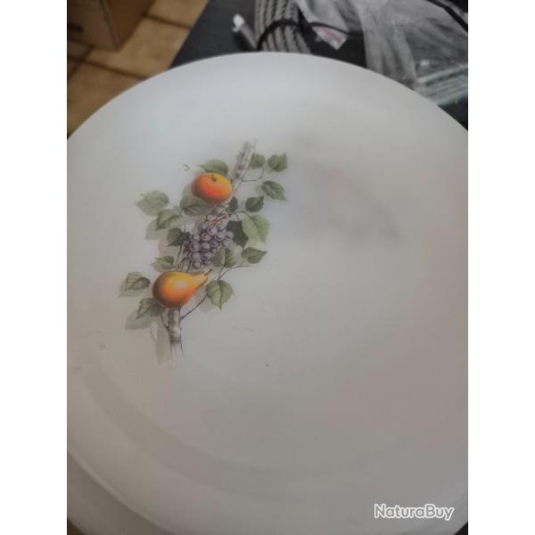 Assiettes arcopal