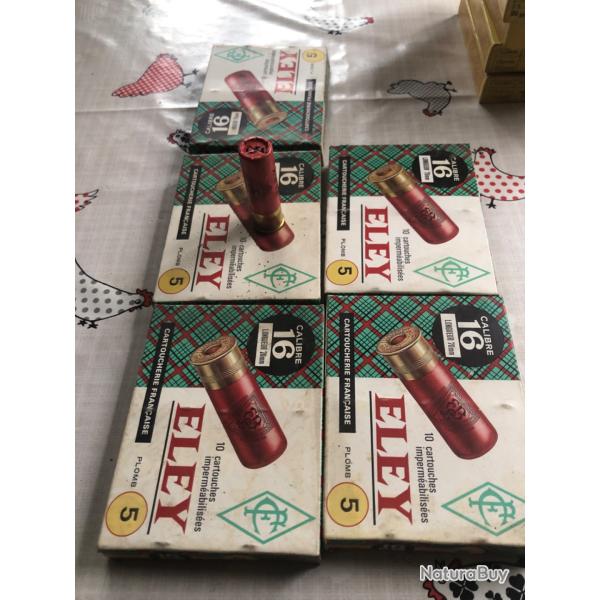 Cartouche cal 16/70 plomb 5 Eley