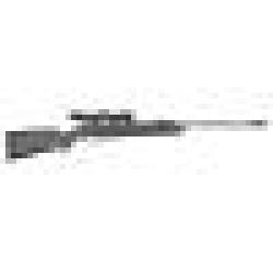 CARABINE COMET EVO SYNT 4.5MM plombs 19.9J + Lunette 4x32