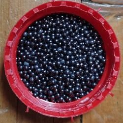 Plombs de chasse 5,5 x-tra durci &agrave; 5% d'antimoine