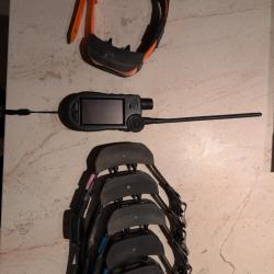 Colliers GPS et Centrale SportDog TEK 2