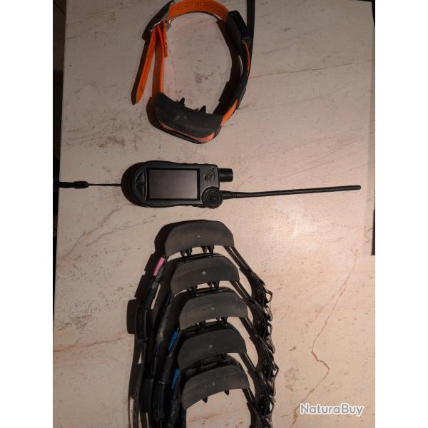 Colliers GPS et Centrale SportDog TEK 2