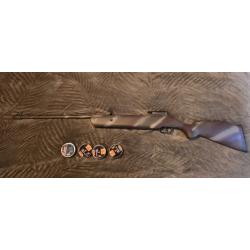 Carabine &agrave; plomb 20J crossman