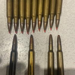 Lot de 13 Balles RWS, Hornady, Sako, Norma calibre 7x64