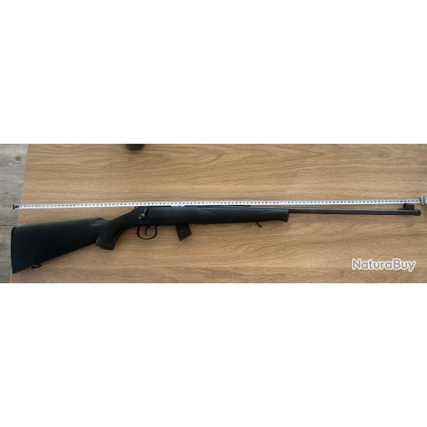 Carabine Norinco jw15 22lr