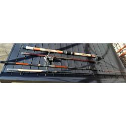 Lot canne a p&ecirc;che