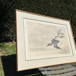 Gravure canards sarcelles canard L&eacute;on Danchin sign&eacute;e et num&eacute;rot&eacute;e