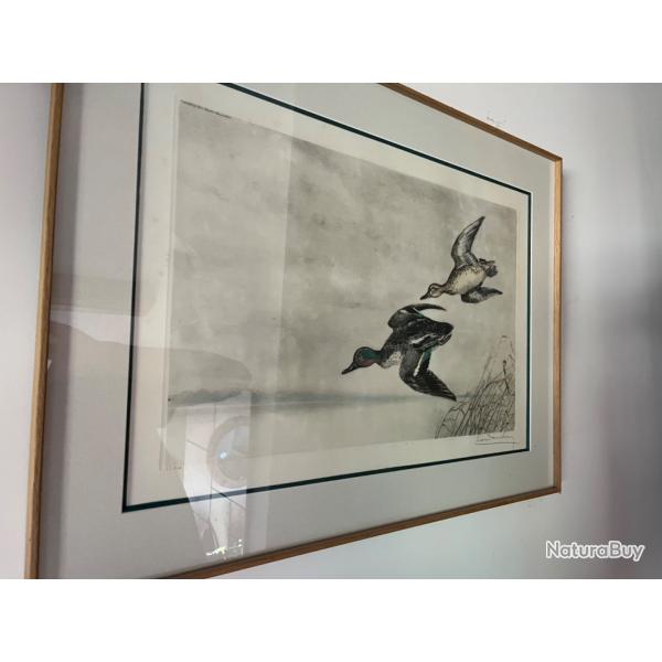 Tableau canard L�on Danchin