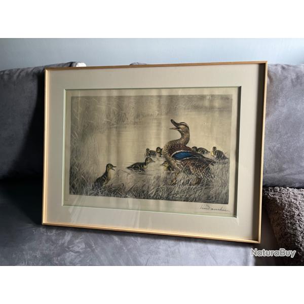 Tableau canards L�on Danchin cane et canetons