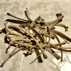 C&ocirc;te de chevreuil