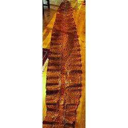 Peau de Python de S&eacute;ba, 4m de long et 45cm de large, parfait &eacute;tat