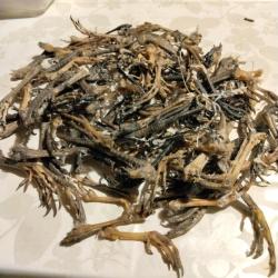 Gros lot de pattes de faisan perdrix pie pas &eacute;tat satisfaisant vendu dans l &eacute;tat comme sur la photo