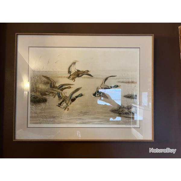 Tableau de canards R�tig