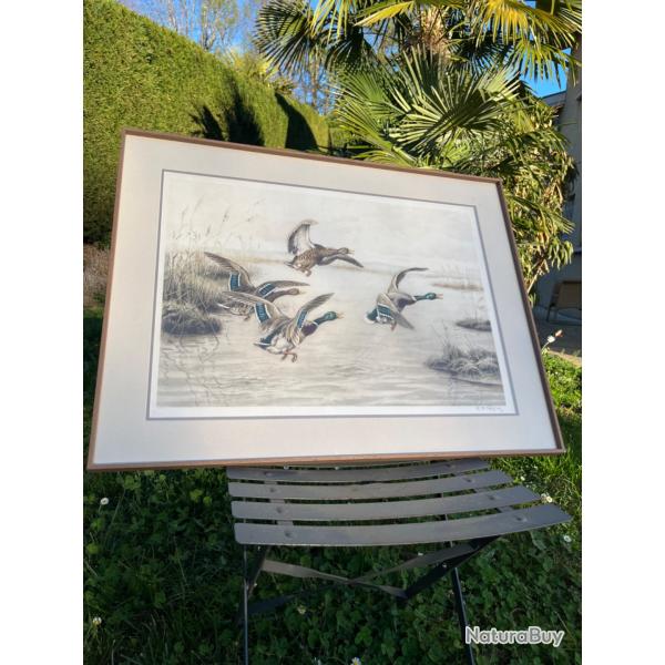 Tableau de canards R�tig