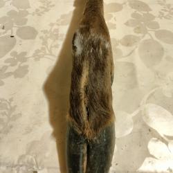 Patte de cerf