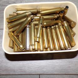 Douilles 300 winchester magnum