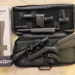 Ruger 10/22 Takedown Canon lourd flut&eacute;