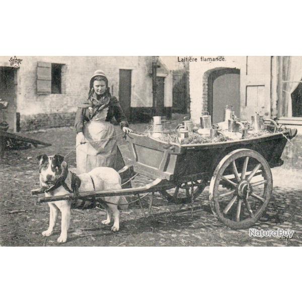 CPA - Laiti�re Allemande -N�7566