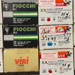 Lot de 12 bo&icirc;tes de Calibre 20