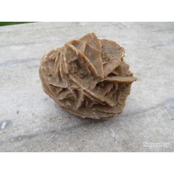 Rose des sables ancienne du Maroc, pi�ce min�rale d�corative (XX�)