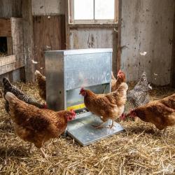 Mangeoire &agrave; tr&eacute;mie anti-nuisible t&ocirc;le galvanis&eacute;e 23 kg