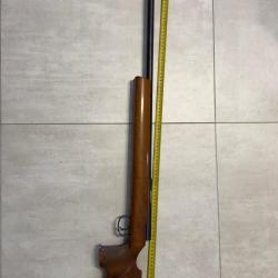 Carabine 22LR ANSCHUTZ avec lunette