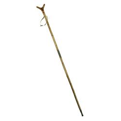 Canne de pirsch et de montagne