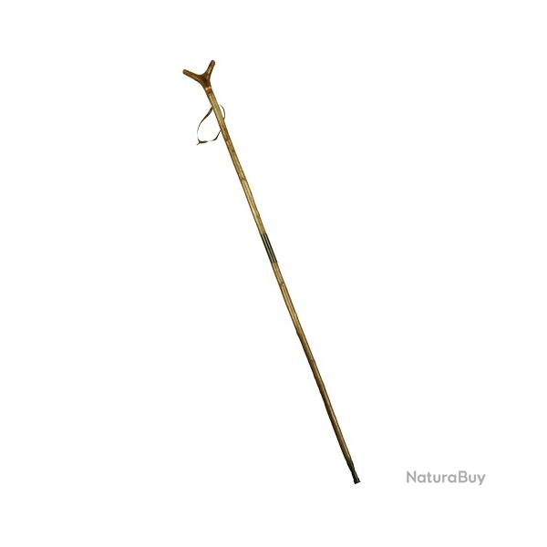 Canne de pirsch et de montagne