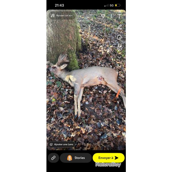 6 bracelets de chevreuil pour archer