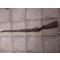 petites annonces chasse p&ecirc;che : Carabine scolaire 22lr type Lebel fabrication Saint Etienne