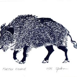 "Maestru Cignale" linogravure originale sign&eacute;e Spada