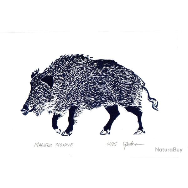 "Maestru Cignale" linogravure originale sign�e Spada