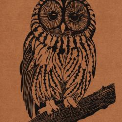Chouette hulotte, linogravure artisanale sign&eacute;e Spada