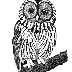 Chouette hulotte, linogravure originale sign&eacute;e Spada