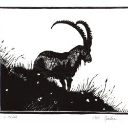 A Muvra, linogravure artisanale sign&eacute;e Spada
