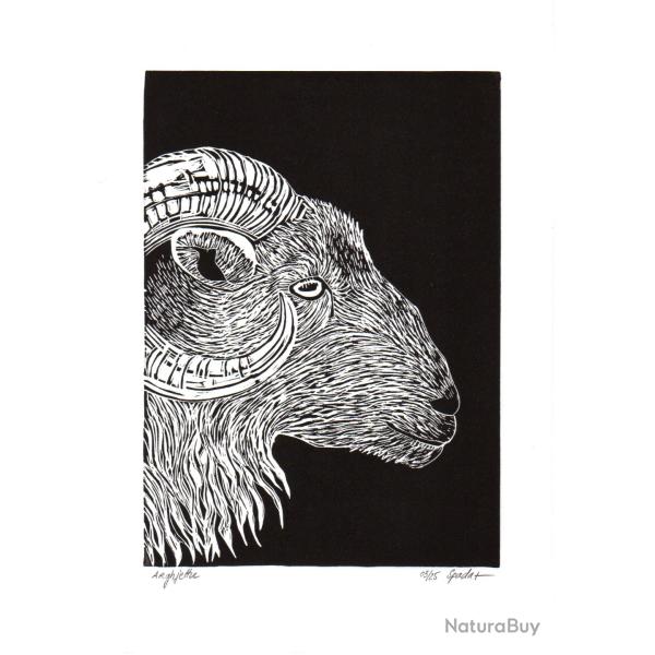 Arghjettu, b�lier, linogravure artisanale sign�e Spada