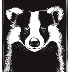 "Ma&icirc;tre blaireau", linogravure originale sign&eacute;e Spada