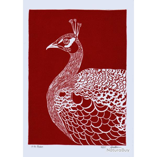 U Re Pavun rossu, linogravure artisanale sign�e Spada